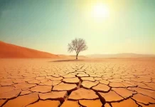 Kemarau Panjang Mengintai, Aceh Antisipasi Dampak El Nino 2026