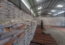 Serapan Gabah BULOG Aceh Capai 50 Persen, Stok Beras Aman hingga Akhir Tahun