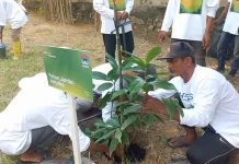 Rangkaian APEKSI 2026, Walikota Tanam Pohon di Hutan Kota Tibang
