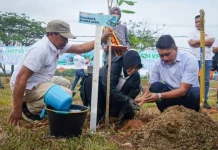 BNPB Bersama Pemko Banda Aceh Tanam Pohon di Lamnyong