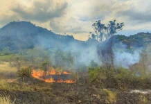 BMKG Jelaskan Penyebab Lonjakan Hotspot di Aceh dalam Beberapa Hari Terakhir