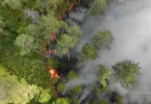 DLHK Himbau Pemegang Izin Lahan Antisipasi Karhutla