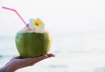 Rekomendasi Minuman Segar saat Cuaca Panas, dari Es Kelapa hingga Infused Water