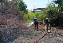 Kebakaran Lahan Terjadi di Beberapa Titik di Lhokseumawe