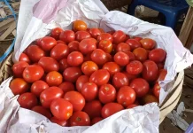 Harga komoditas di Pasar Induk Lambaro Mulai Merangkak Naik