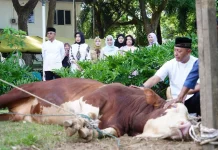 Kodam Iskandar Muda Sembelih 23 Ekor Hewan Kurban
