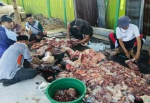 Kemenag Subulussalam Sembelih Dua Ekor Hewan Kurban pada Iduladha
