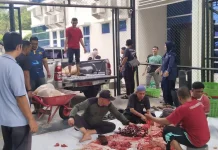 Kementerian Agama Aceh Sembelih Sembilan Ekor Hewan Kurban