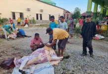 ASN Kemenag Aceh Tenggara Distribusi Hewan Kurban untuk Warga