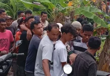 Pendaki Hilang di Gunung Seulawah Ditemukan Selamat