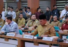 Sinergi Pemerintah Pusat dan Daerah Penting Percepat Pemulihan Pascabencana