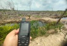 AWF Nilai Penanganan Kasus Perambahan Mangrove Aceh Tamiang Belum Tuntas