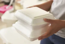 Styrofoam Sulit Terurai dan Berisiko Kesehatan, Akademisi Ingatkan Bahayanya