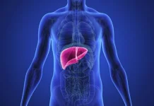 Pentingnya Organ Hati Dijaga sejak Dini