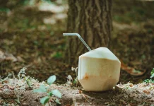 Manfaat Air Kelapa Hijau untuk Kesehatan