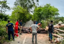 BPBD Aceh Besar Imbau Warga Waspadai Cuaca Ekstrem