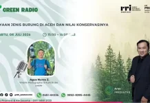 Kekayaan Jenis Burung di Aceh Jadi Aset Penting Konservasi Keanekaragaman Hayati