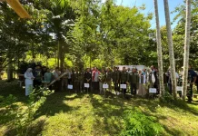 Madu Trigona Jadi Bagian Upaya Konservasi Alam di Jantho