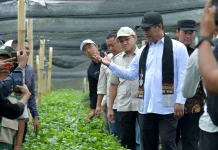 Mentan Apresiasi Kinerja Pemerintah Aceh Dukung Pengembangan Pertanian