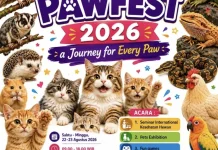 Aceh Pawfest 2026 Hadirkan Pameran Satwa, Cat Show hingga Beragam Lomba