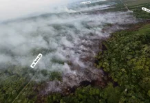 Karhutla Hanguskan 12,5 Hektare Lahan Sawit di Aceh Barat, Api Sebagian Belum Padam