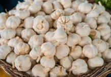 Bukan Sekadar Bumbu Dapur, Ini Khasiat Mengonsumsi Bawang Putih