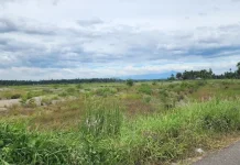Ratusan Hektare Sawah di Kutablang Masih Tertimbun Material Banjir