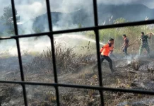 Kebakaran Lahan Seluas Satu Hektar di Bener Meriah Berhasil Dipadamkan