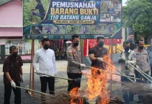 Musnahkan Barang Bukti Ganja, Kapolres Aceh Selatan Komitmen Berantas Narkoba