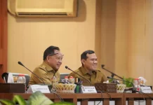 Pemerintah Aceh Lapor ke Mendagri dan Danantara soal Kelangkaan Semen