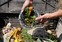 Sampah Makanan Diam-Diam Jadi Ancaman Serius di Banda Aceh