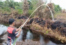 Karhutla di Aceh Barat Mereda usai Diguyur Hujan