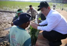 Pemerintah Aceh Jelaskan Posisi Bantuan Kementan untuk Pemulihan Sawah dan Kebun