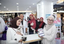 Memperingati International Cat Day, Cat Lovers Gelar Tribute Kucing Kampung