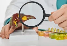Kenali Penularan Hepatitis: Bukan lewat Makanan, tapi Melalui Darah
