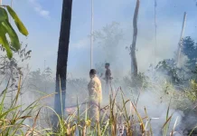 9 Kecamatan di Aceh Besar Dilanda Karhutla, Luas Lahan Terbakar Capai 16,87 Hektar