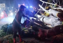 Pohon Tumbang Timpa Mobil di Pidie, Tujuh Orang Meninggal Dunia