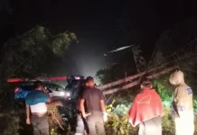 Polres Aceh Jaya Tangani Pohon Tumbang Lintas Banda Aceh – Meulaboh