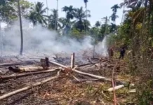 Kebakaran Lahan di Lamtamot Aceh Besar, Tiga Hektare Terbakar