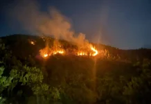 Delapan Hektar Lahan di Bukit Berbate Blang Bintang Terbakar