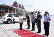 Prabowo Luncurkan Program PLTS 100 GWp di Bali