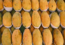 Buah Pepaya Kaya Akan Manfaat