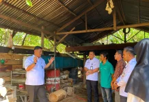 Kementerian Hukum Aceh Tinjau Pengolahan Minyak Nilam di Lhoong