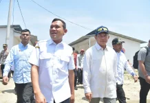 Pemulihan Sawah Aceh Terus Dipacu, Realisasi Anggaran Tembus Rp272 Miliar