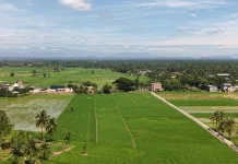 Pemkab Aceh Tamiang Targetkan Seluruh Sawah Terdampak Siap Tanam November 2026