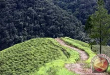 Sembilan Titik Panas Muncul di Leuser
