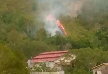 Satu Hektare Lahan Terbakar di Aceh Tengah, Penyebab Masih Diselidiki