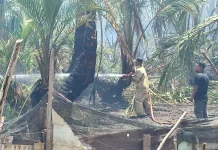 Tiga Hektare Kebun Rumbia di Aceh Besar Terbakar, Api Berhasil Dipadamkan