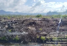 BMKG Deteksi 119 Titik Panas, Paling Banyak di Gayo Lues dan Aceh Selatan
