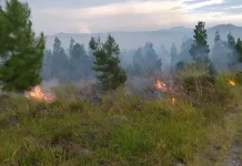 Karhutla di Bener Meriah Hanguskan 20 Hektare Lahan